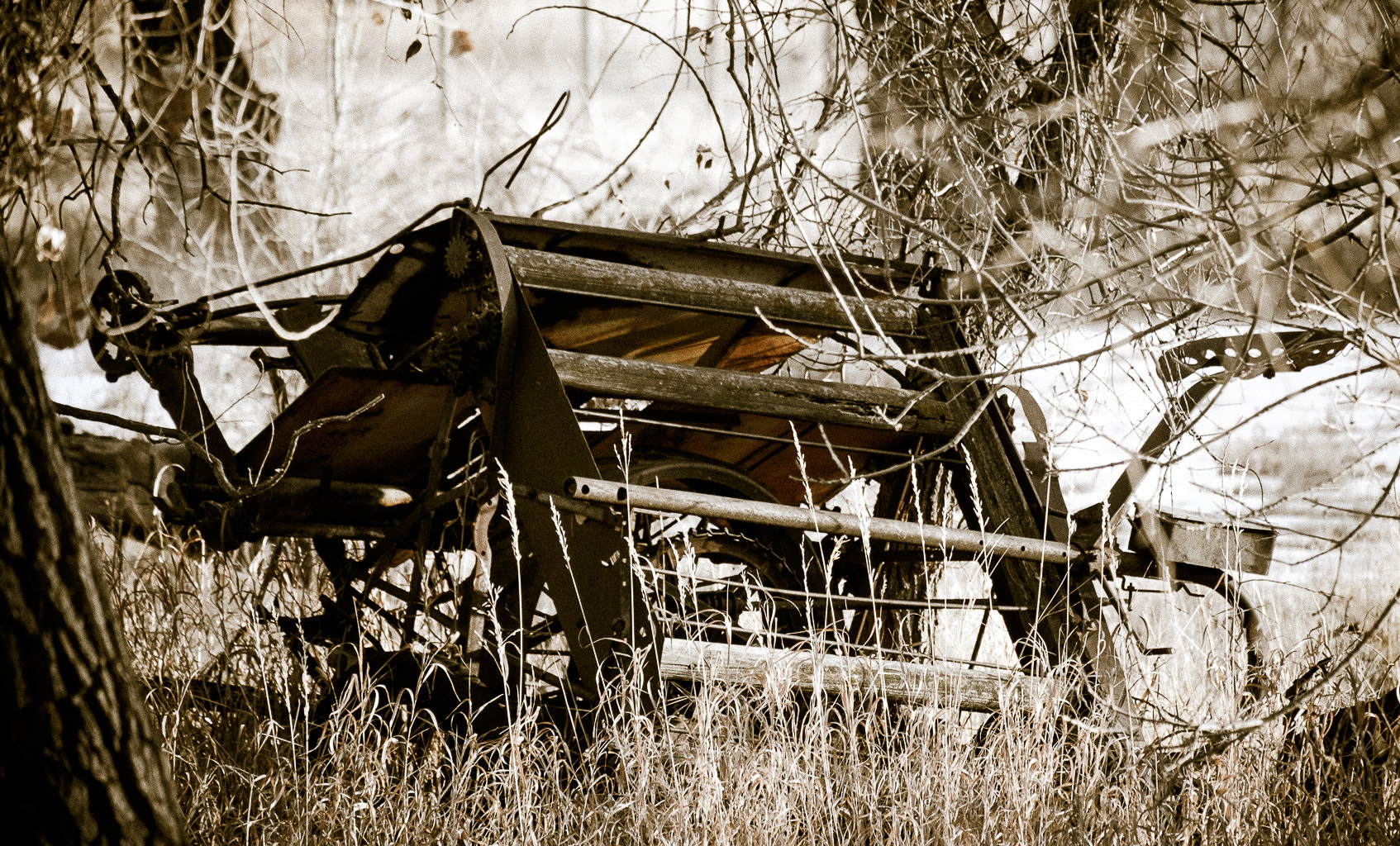 Fujifilm X-T10 + Fujifilm XC 50-230mm F4.5-6.7 OIS II sample photo. Old farm equipment photography