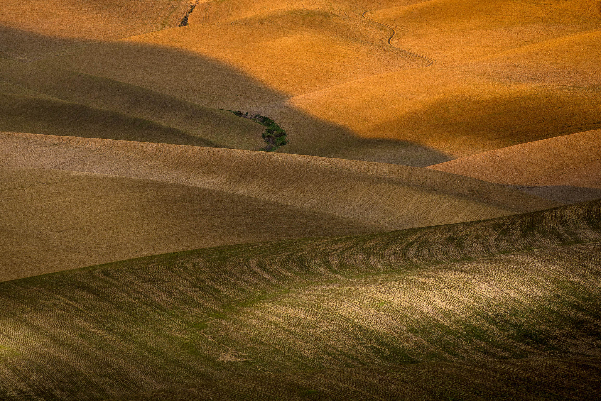 AF Zoom-Nikkor 80-200mm f/2.8 ED sample photo. Pixcube.it riserva naturale crete senesi tuscany photography
