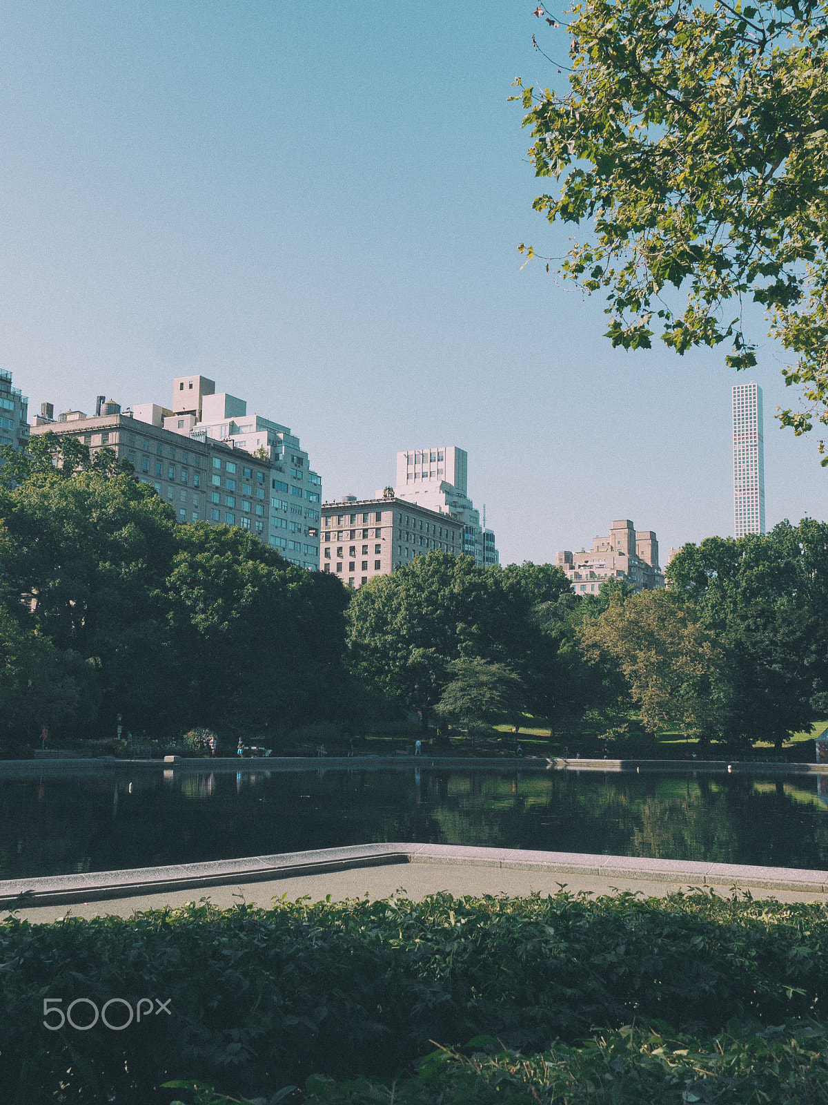 Samsung NX 16-50mm F2.0-2.8 S ED OIS sample photo. Central park photography