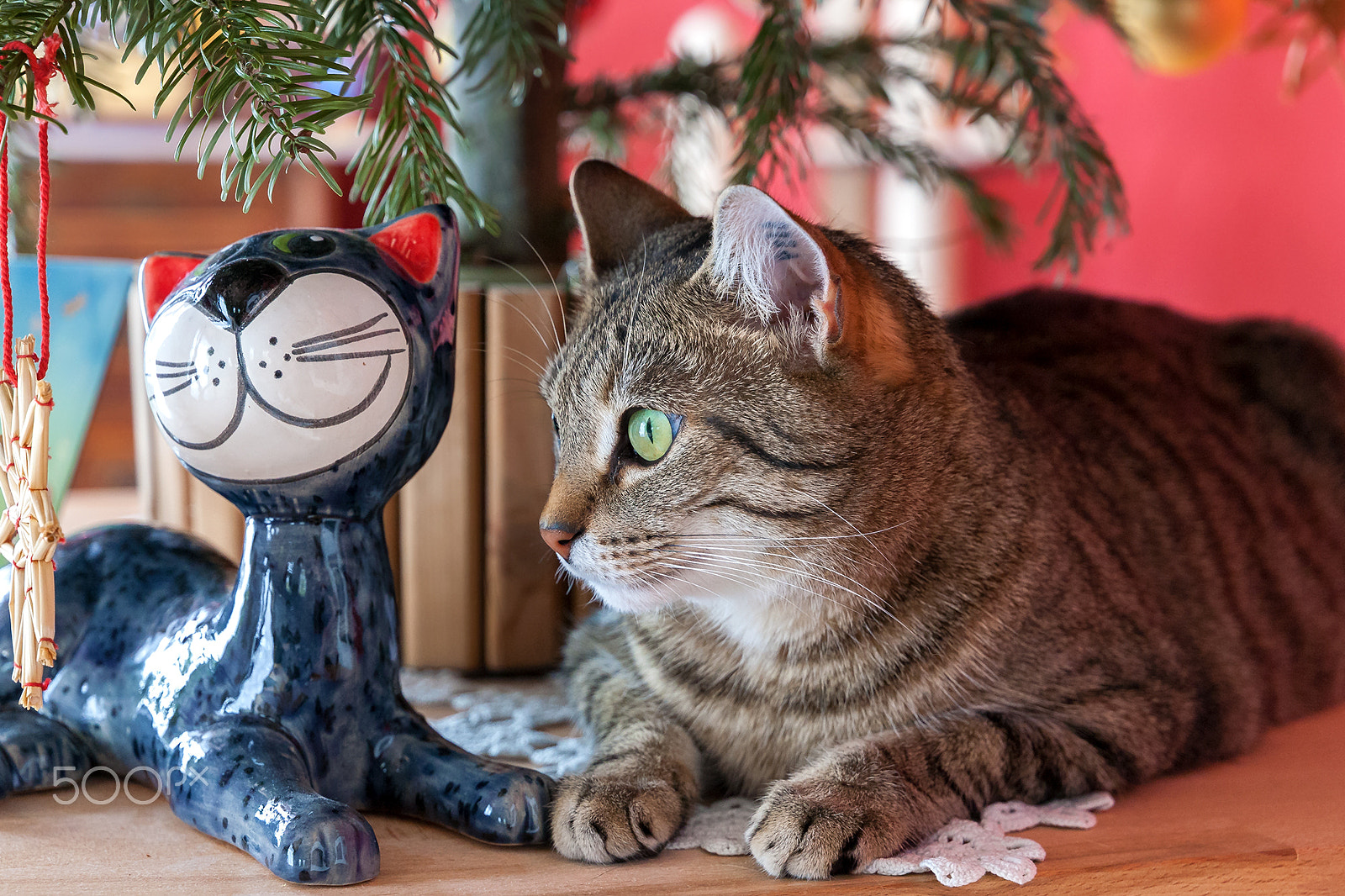 Canon EF 24-105mm F3.5-5.6 IS STM sample photo. Miko and his new frind photography