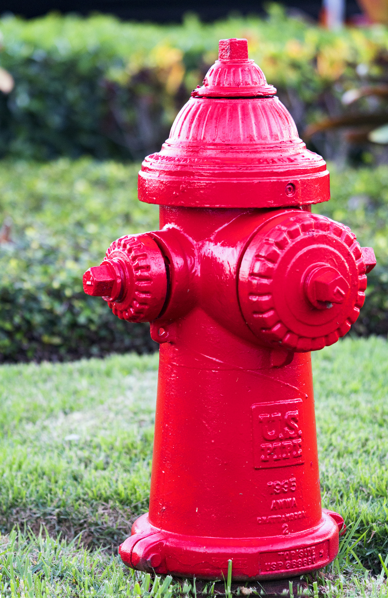 Sony a6500 + Sony FE 90mm F2.8 Macro G OSS sample photo. Fire hydrant photography