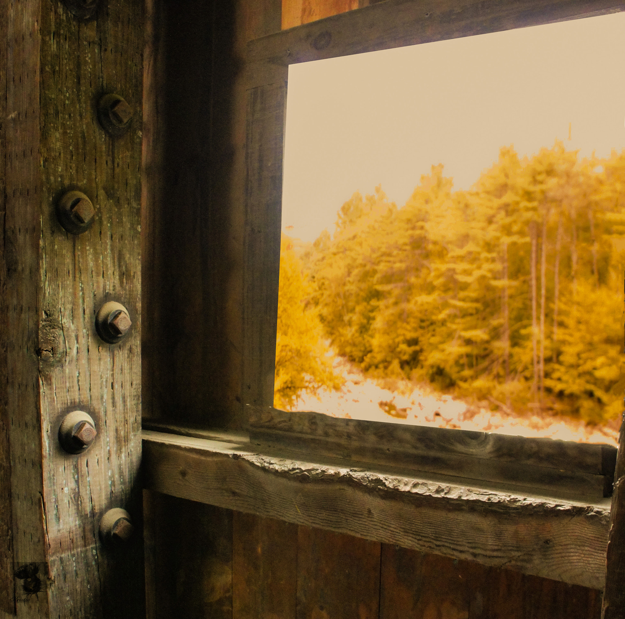 Tamron 18-200mm F3.5-6.3 Di III VC sample photo. Autumn view photography
