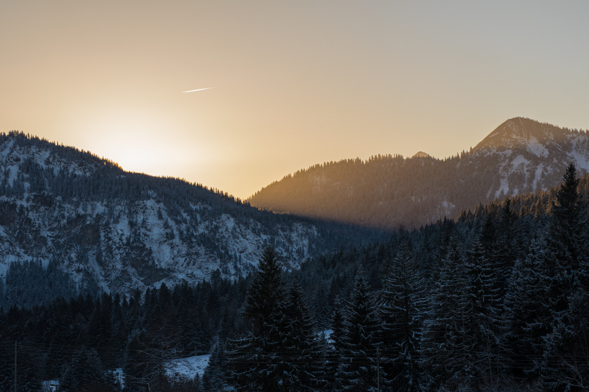 Sigma 50mm F1.4 EX DG HSM sample photo. Morning has broken photography