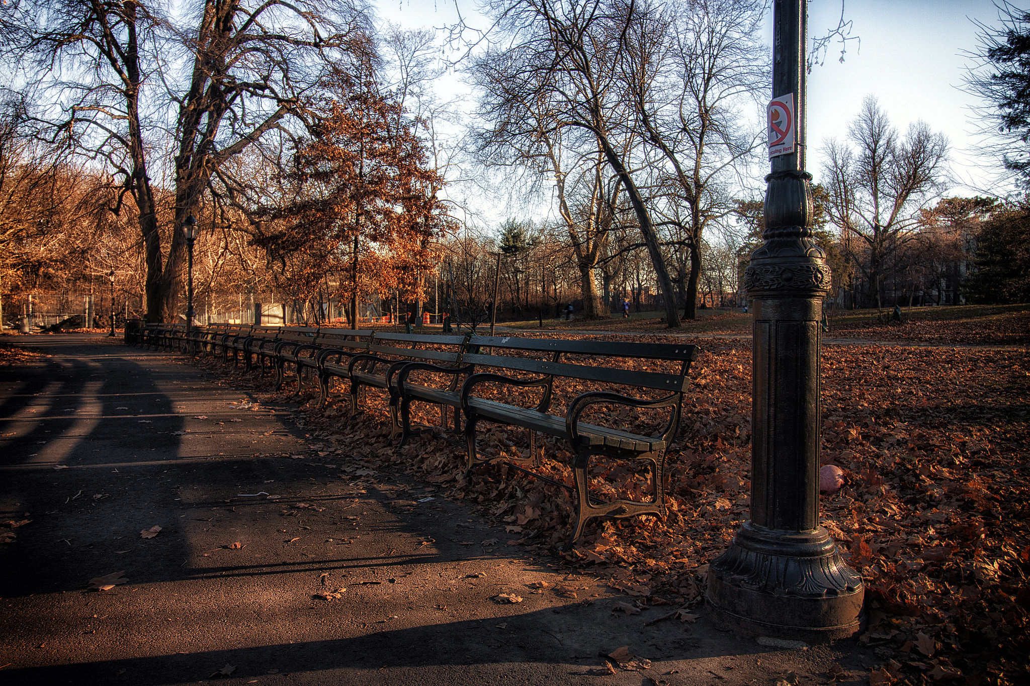 Canon EOS 50D sample photo. Benches in park photography