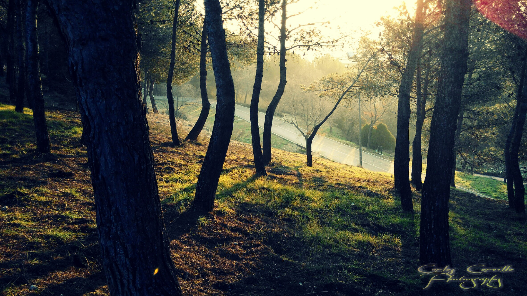 bq Aquaris E5 HD sample photo. Dawn on the way photography