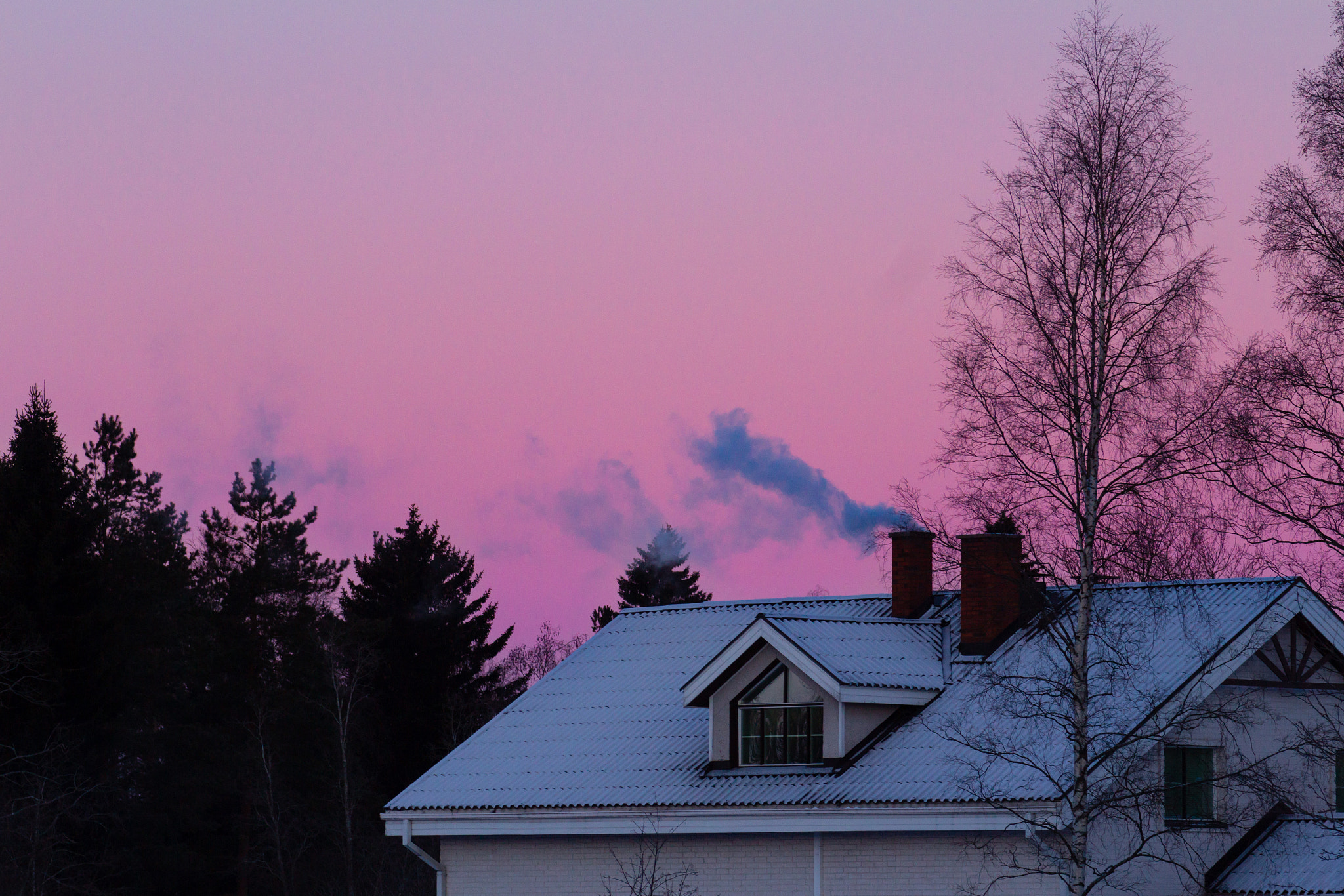 Sigma 70-200mm F2.8 EX DG OS HSM sample photo. Minus twenty-two degrees celcius photography