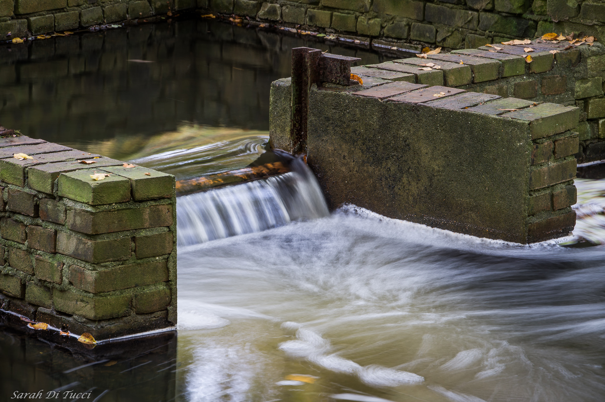 Sony SLT-A58 sample photo. Slowly photography