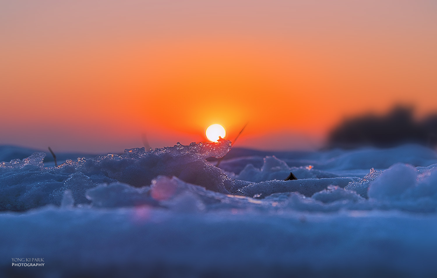 Pentax K-1 sample photo. Sunrise in the winter morning photography