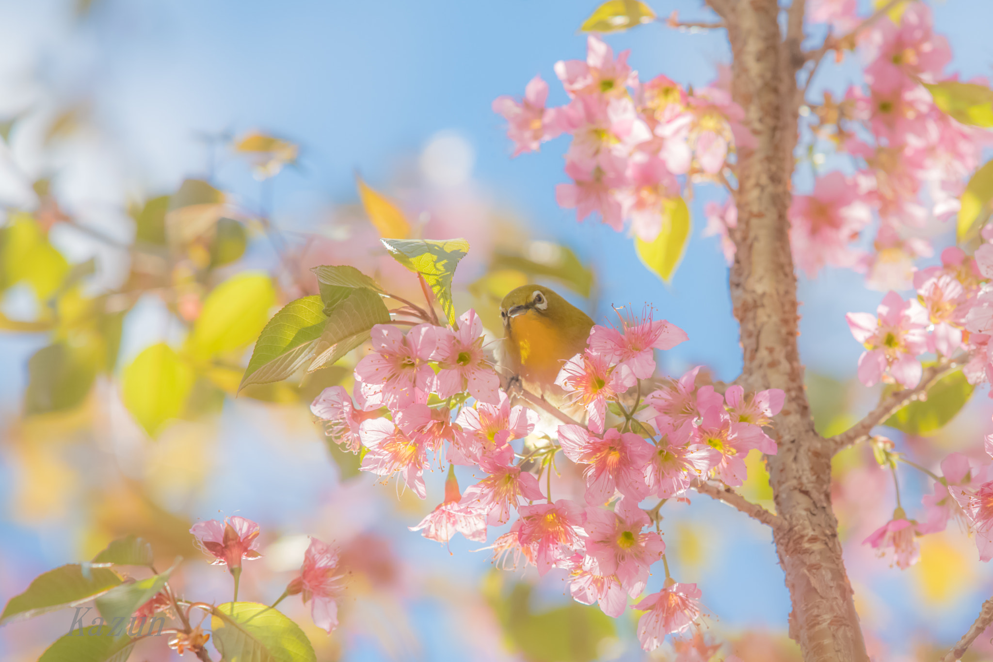 Nikon Nikkor AF-S 300mm F4E PF ED VR sample photo. Did you call me? photography