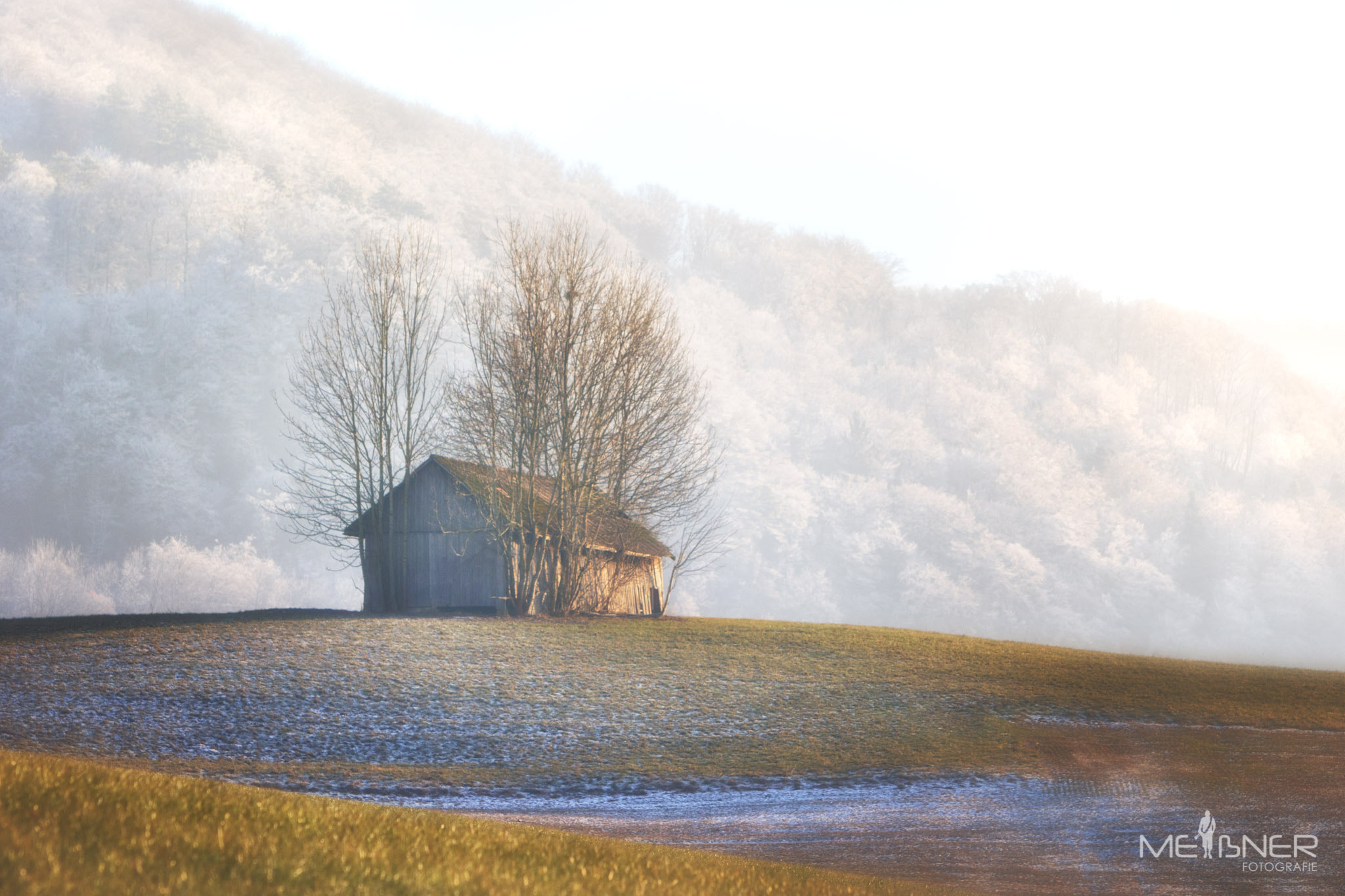 Canon EOS 7D Mark II + Canon EF 70-200mm F2.8L IS USM sample photo. Switzerland-03 photography