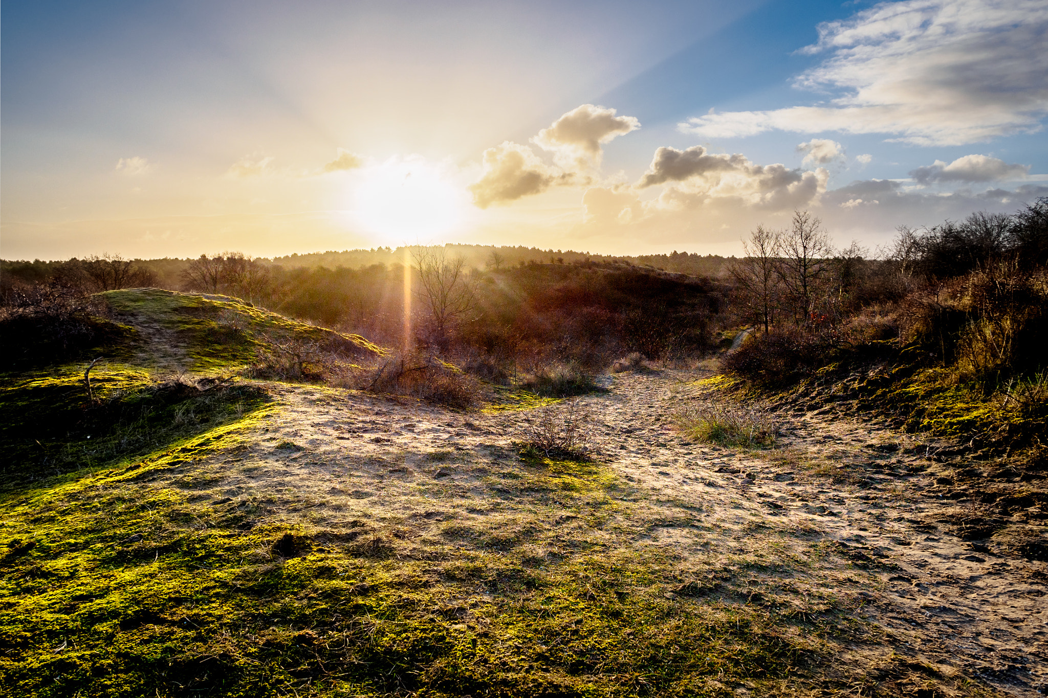 Olympus OM-D E-M10 + OLYMPUS M.12mm F2.0 sample photo. Sunrise over dune area photography