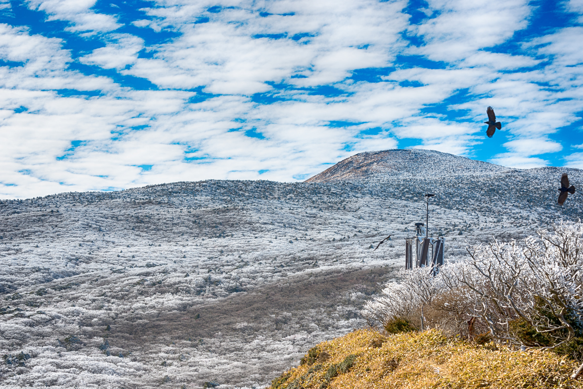 Nikon D800 sample photo. Halla mountain photography