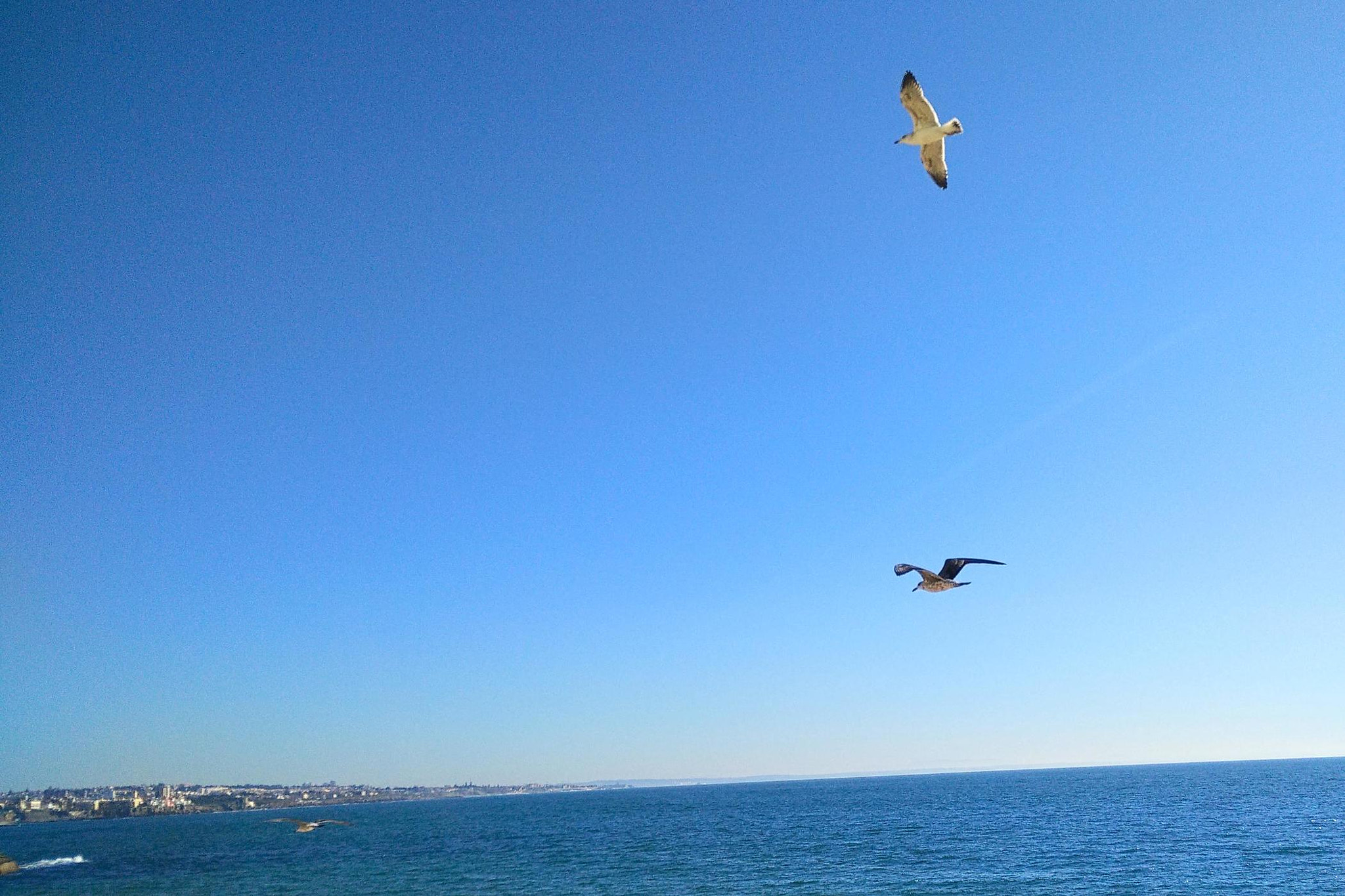 OnePlus ONE sample photo. Img_20161225_121511.jpg photography