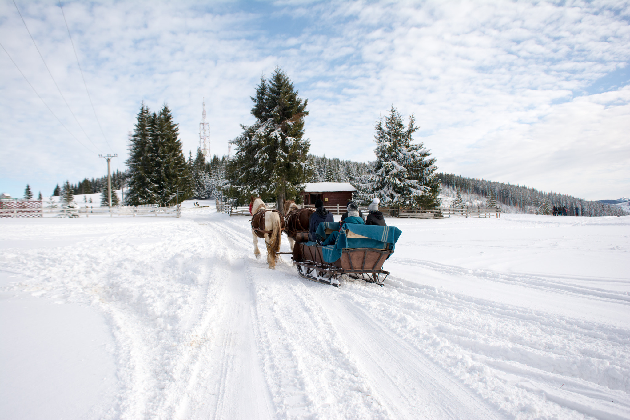 Nikon D7100 sample photo. Horse sleigh photography
