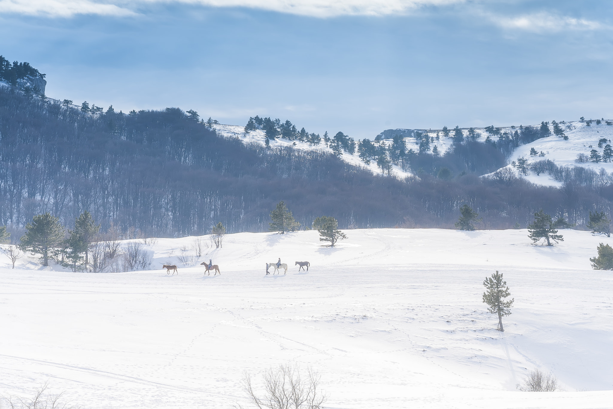 Sony a7S II + Sony Sonnar T* FE 55mm F1.8 ZA sample photo. Ay-petri mountain covered with snow photography