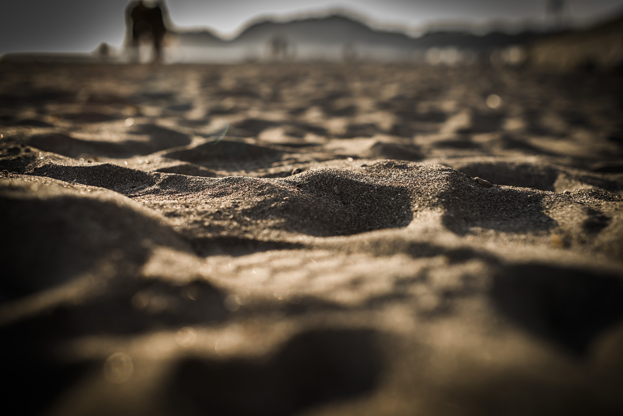 Pentax K-1 + Sigma 35mm F1.4 DG HSM Art sample photo