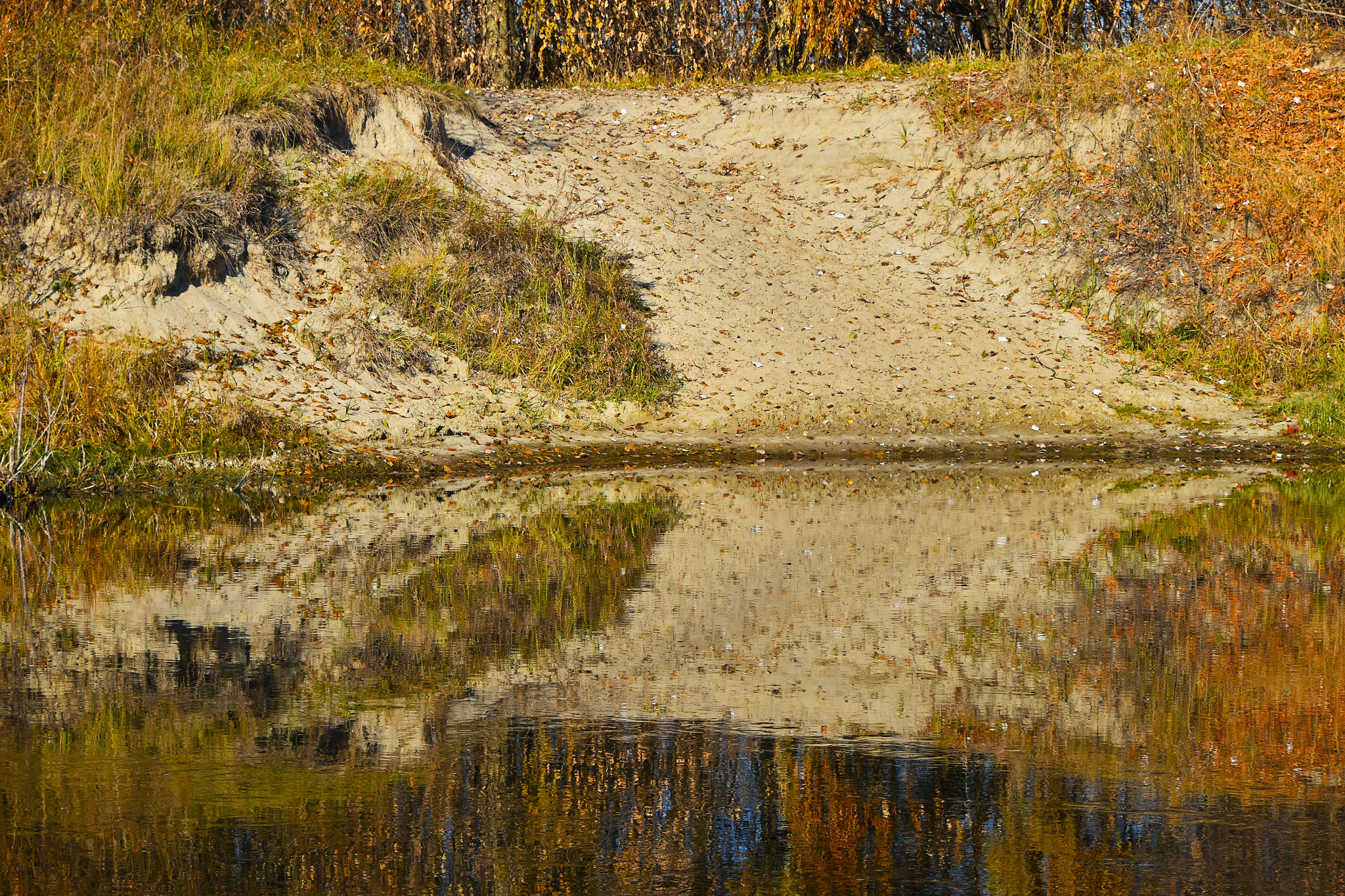 Nikon D5500 sample photo. Autumn trees reflection in river water photography