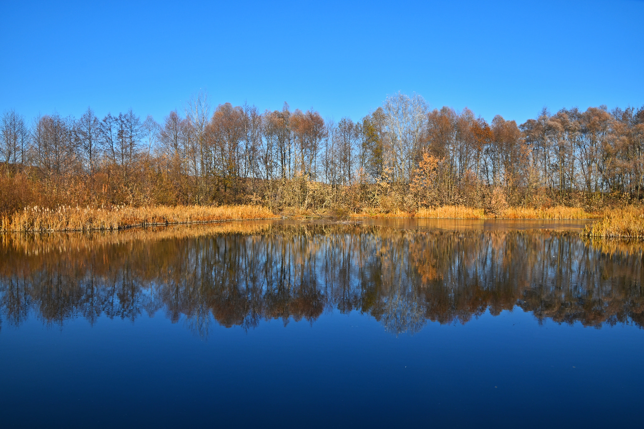 Nikon D5500 + Nikon AF-S DX Nikkor 18-300mm F3.5-6.3G ED VR sample photo. Autumn trees reflection in river water photography