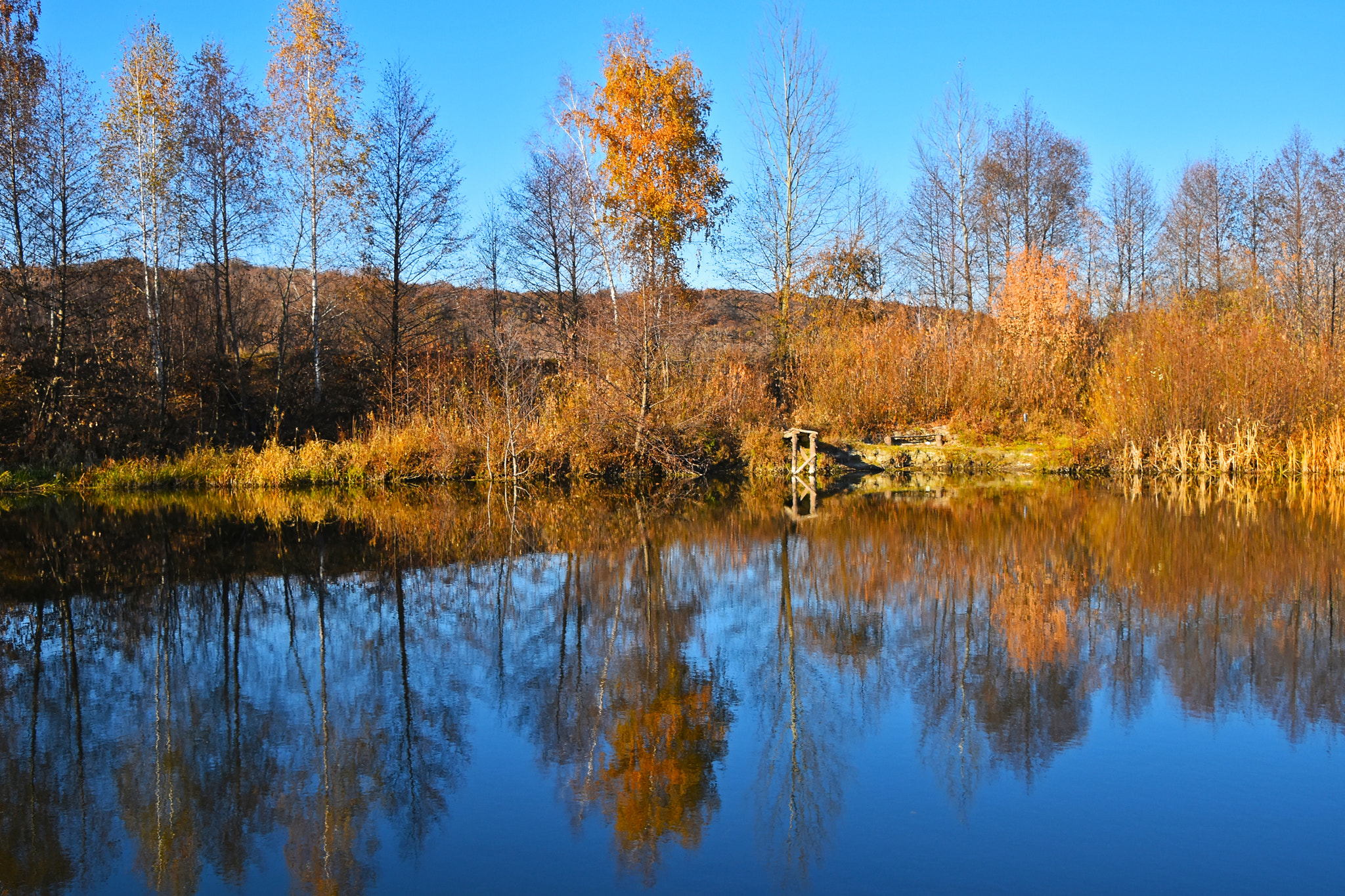 Nikon D5500 + Nikon AF-S DX Nikkor 18-300mm F3.5-6.3G ED VR sample photo. Autumn trees reflection in river water photography