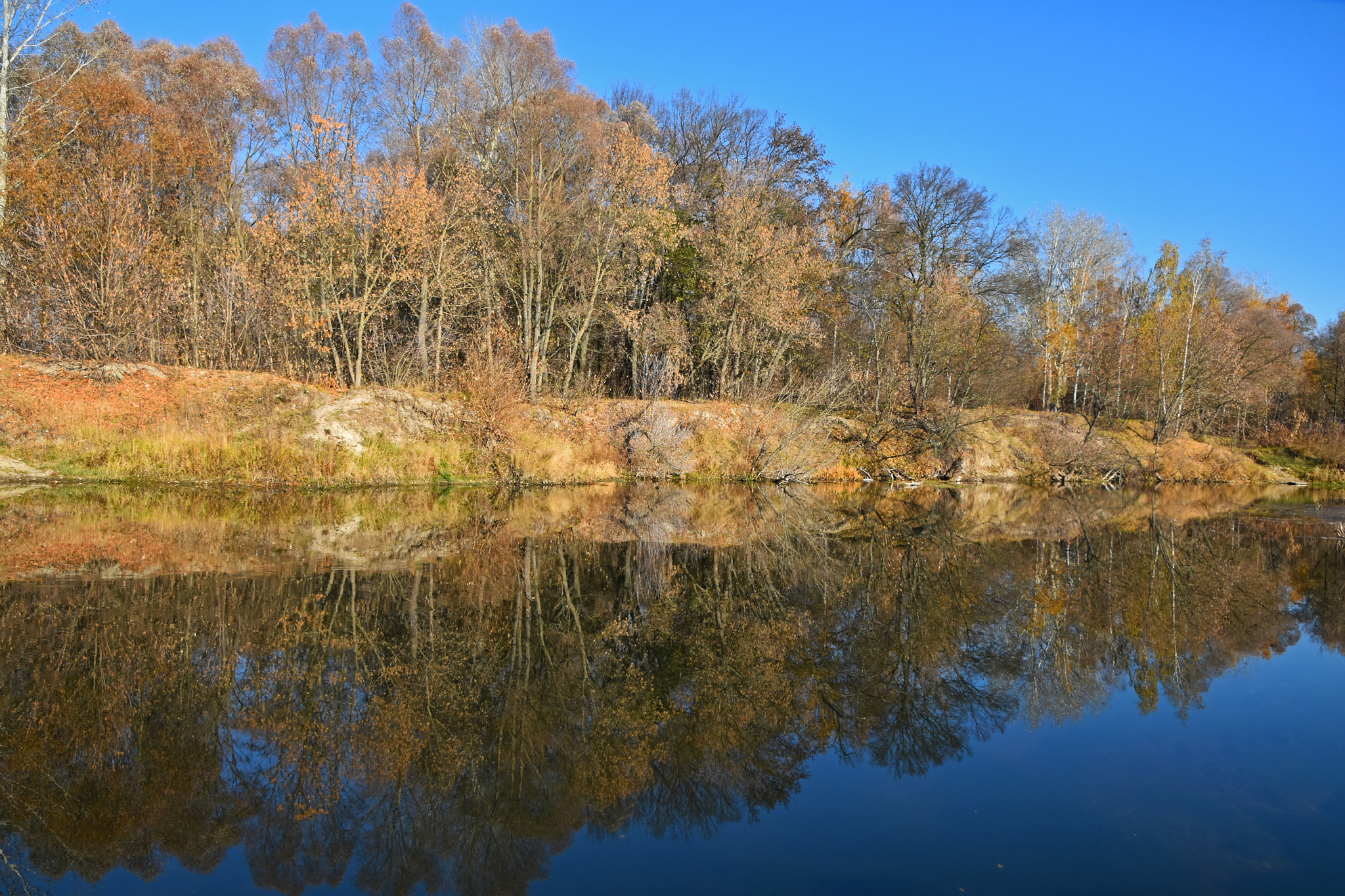 Nikon D5500 + Nikon AF-S DX Nikkor 18-300mm F3.5-6.3G ED VR sample photo. Autumn trees reflection in river water photography