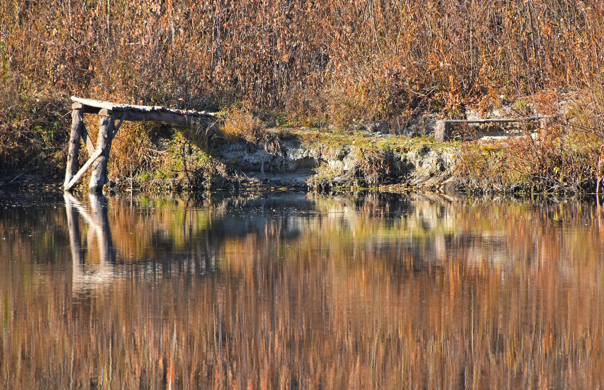 Nikon D5500 sample photo. Autumn trees reflection in river water photography