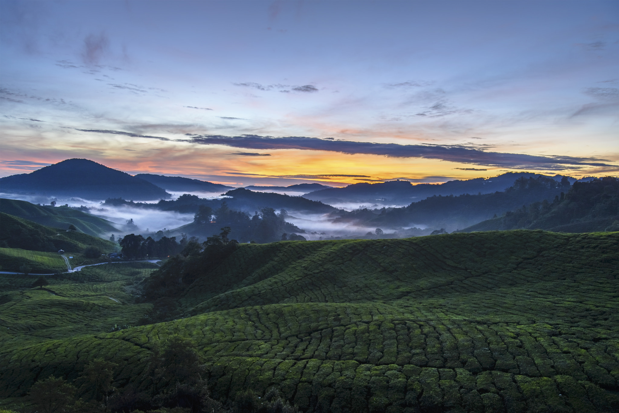 AF Zoom-Nikkor 28-80mm f/3.3-5.6G sample photo. Boh plantation photography