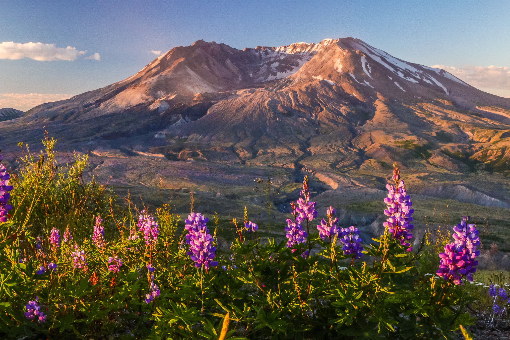 Canon EF 28-135mm F3.5-5.6 IS USM sample photo. Early summer morning on mt. saint helens photography