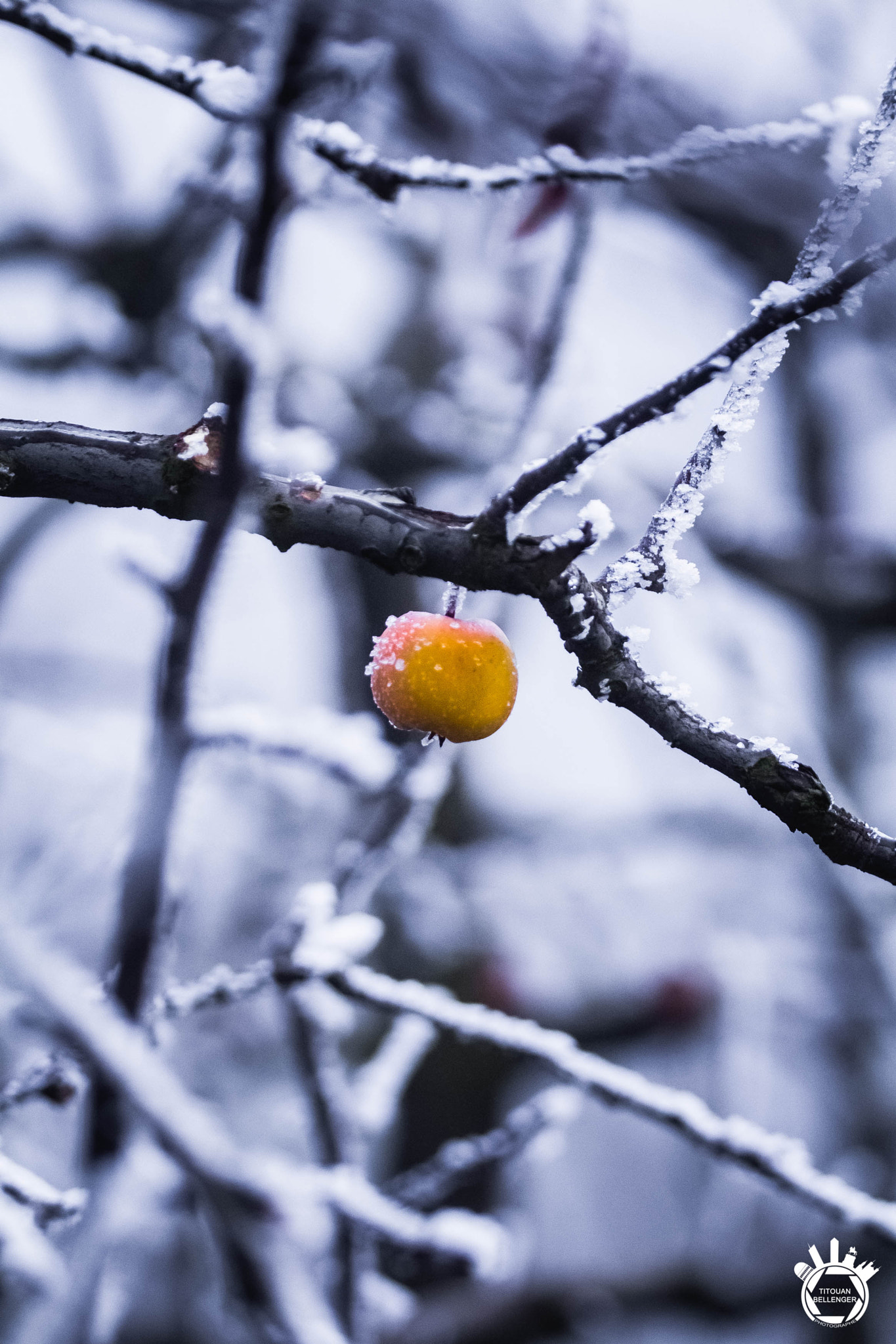 150-600mm F5-6.3 DG OS HSM | Contemporary 015 sample photo. When time freezes photography