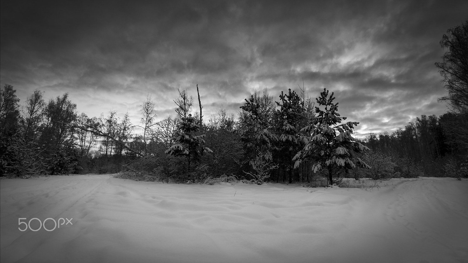 Tokina AT-X Pro 11-16mm F2.8 DX sample photo. Russian winter photography