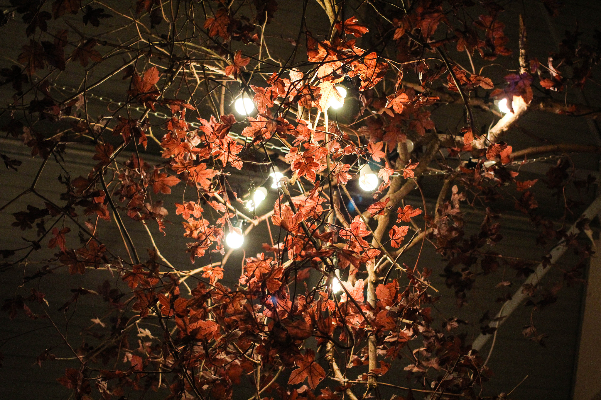 Canon EOS 600D (Rebel EOS T3i / EOS Kiss X5) + Canon EF 40mm F2.8 STM sample photo. Leify lamps photography