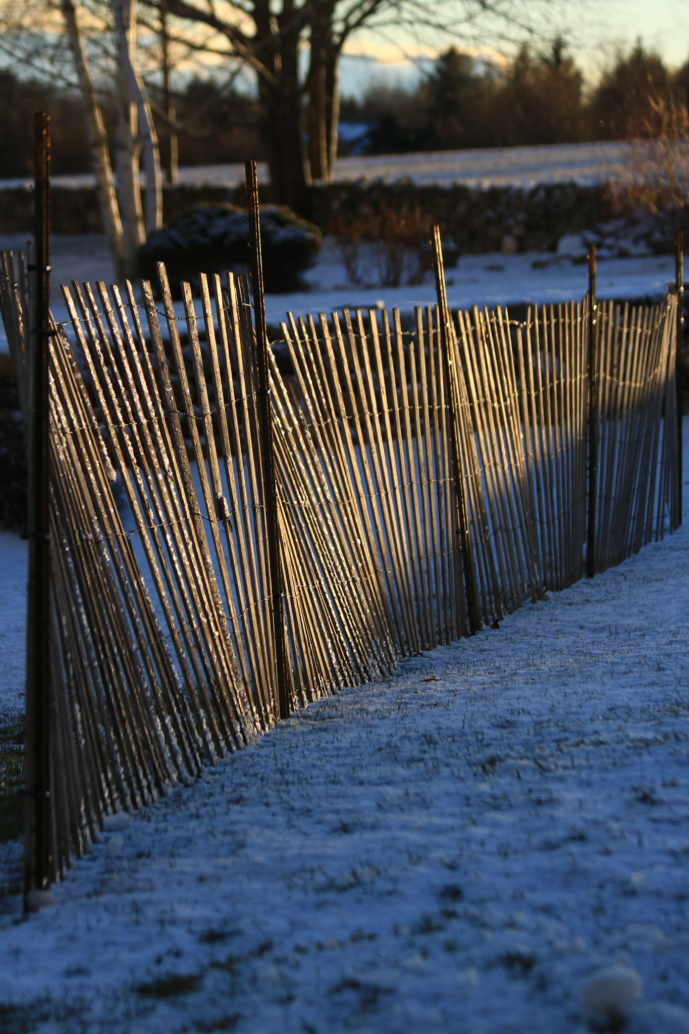 Canon EF 70-300mm F4-5.6 IS USM sample photo. Sun lit fence photography