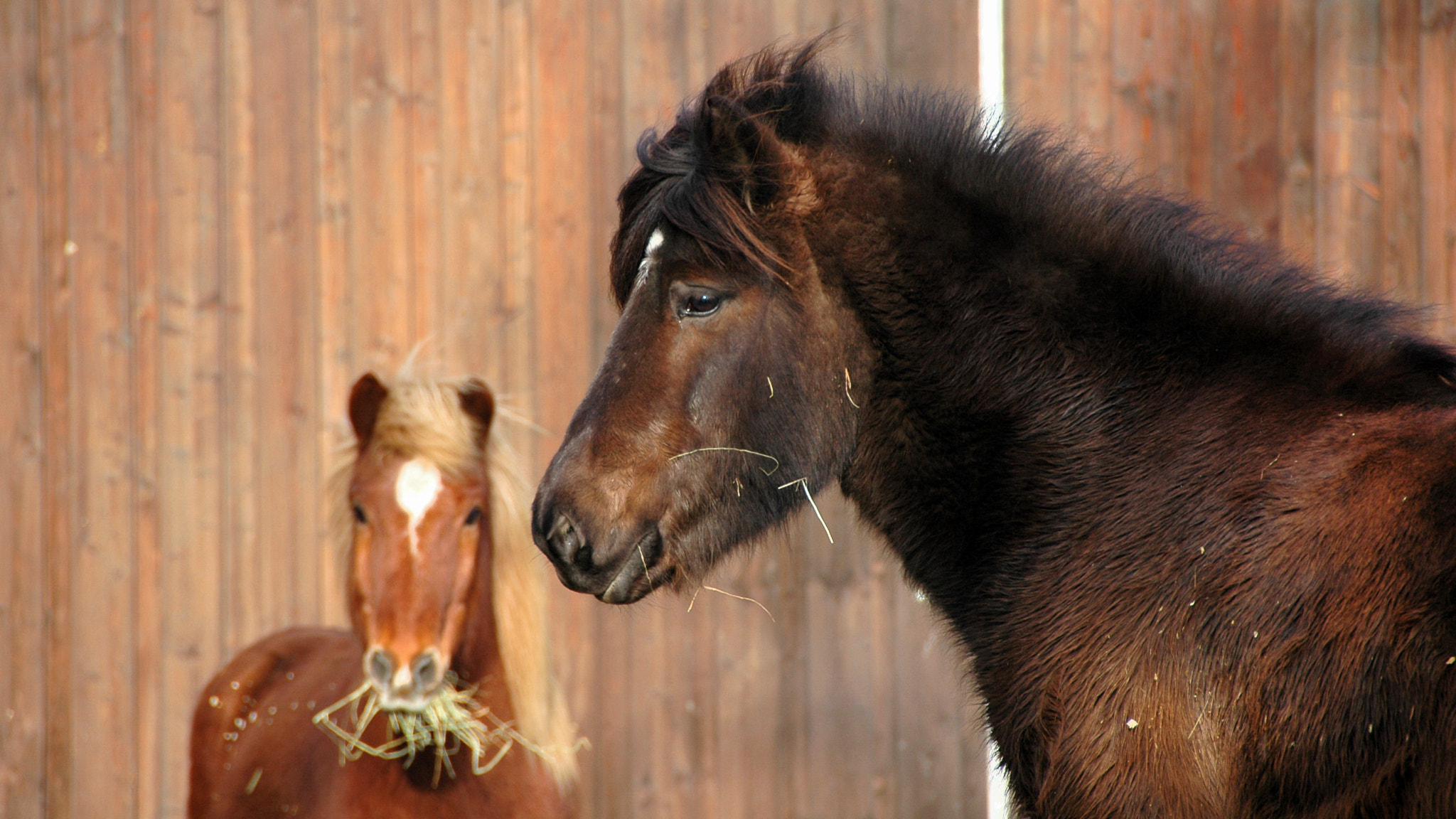 Nikon D70s sample photo. Cold days ...... photography