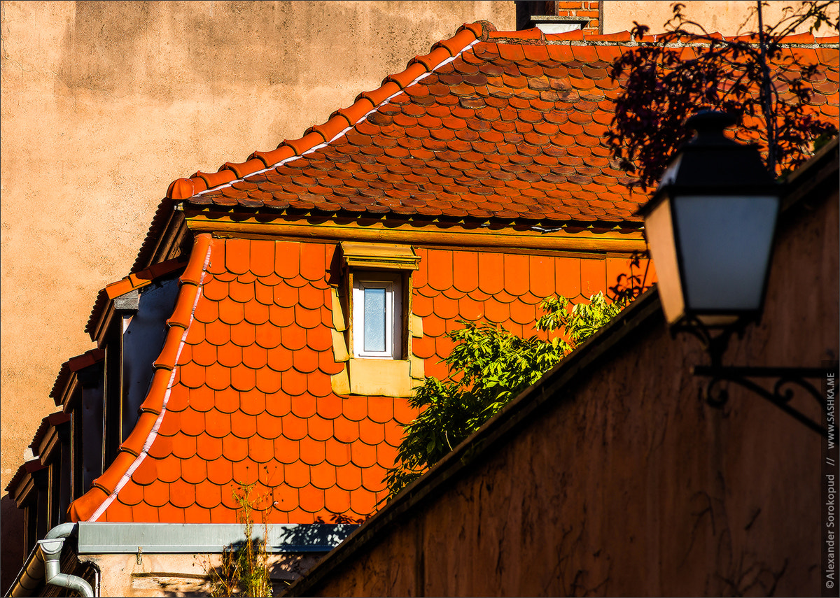 Sony a99 II sample photo. Beautiful form of old roofs, strasbourg, sunny winter day photography