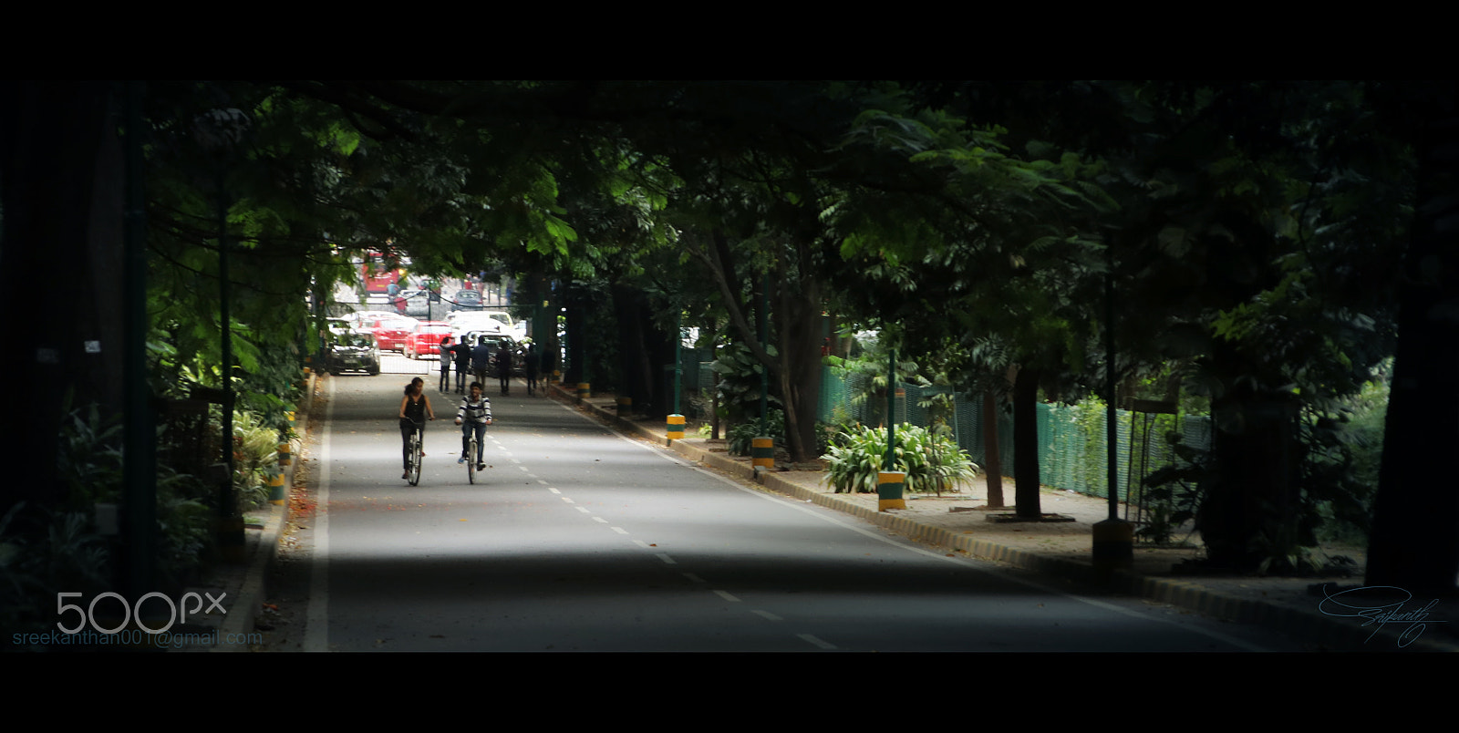 Canon EOS 80D + Canon TS-E 90mm F2.8 Tilt-Shift sample photo. Cubbon park photography