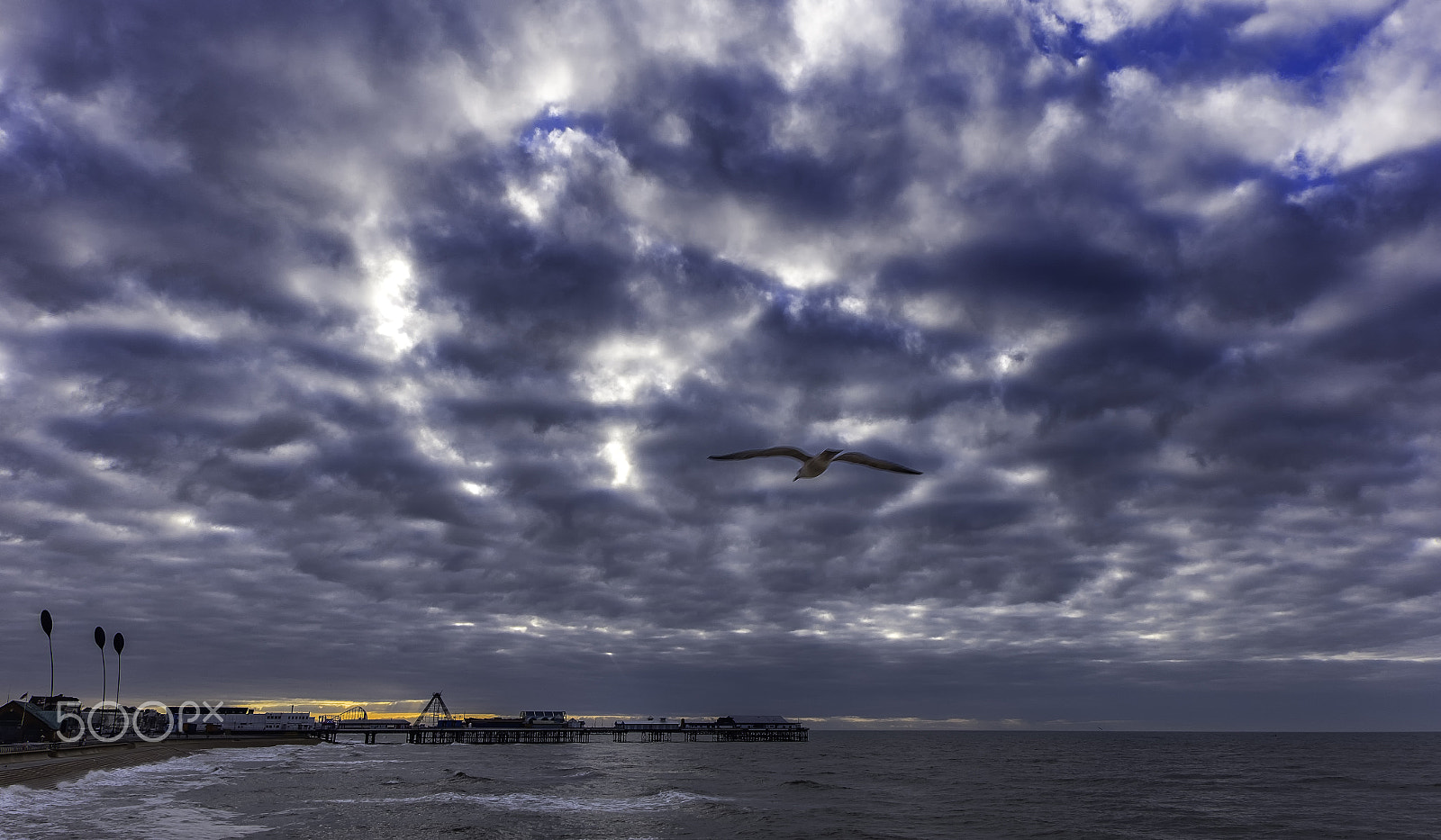 Fujifilm XC 16-50mm F3.5-5.6 OIS sample photo. Flyingtowardsthe sunset photography