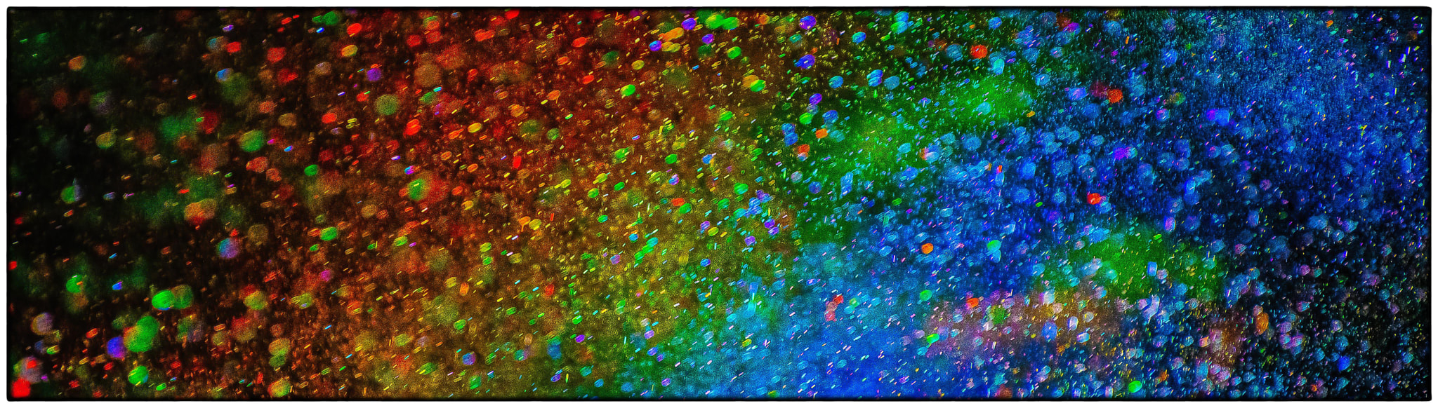 Nikon D500 sample photo. A cornucopia of colours photography