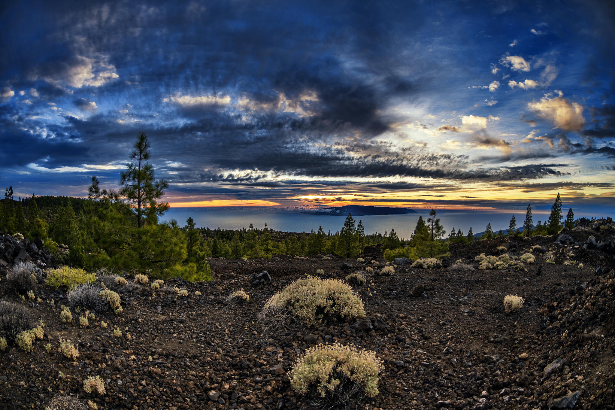 Nikon AF DX Fisheye-Nikkor 10.5mm F2.8G ED sample photo. Blue hour photography