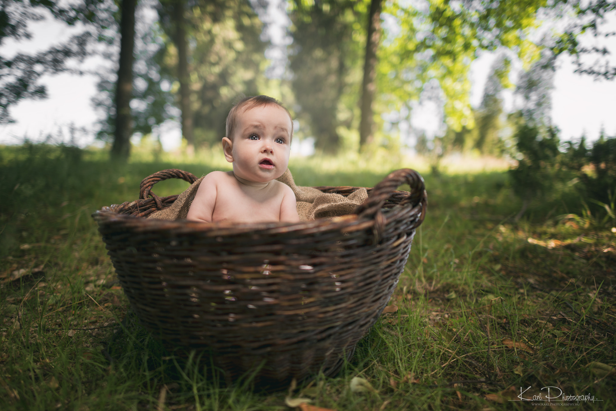 Nikon D800 + Nikon AF-S Nikkor 24mm F1.4G ED sample photo. Baby in a basket -summer 2016 photography