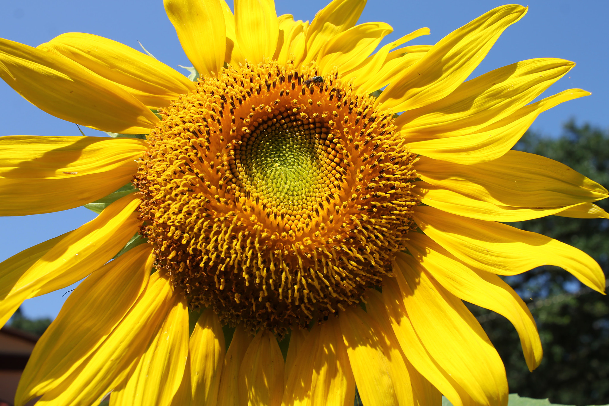 Canon EF-S 24mm F2.8 STM sample photo. Vibrance photography