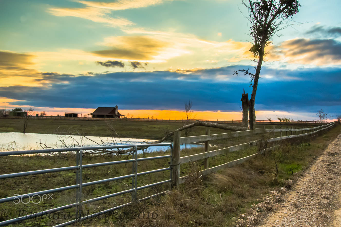 Sony a99 II sample photo. Chapel hill photography