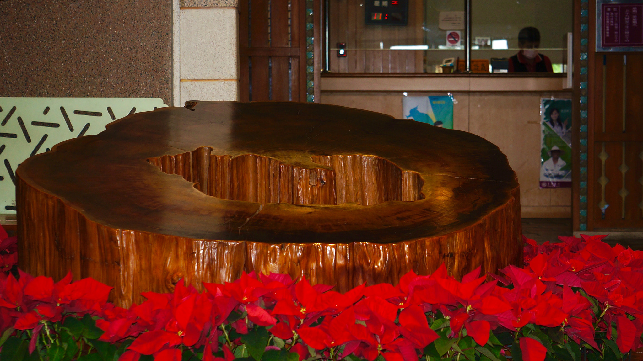 Sony E 55-210mm F4.5-6.3 OSS sample photo. Holiday decoration in county hall photography