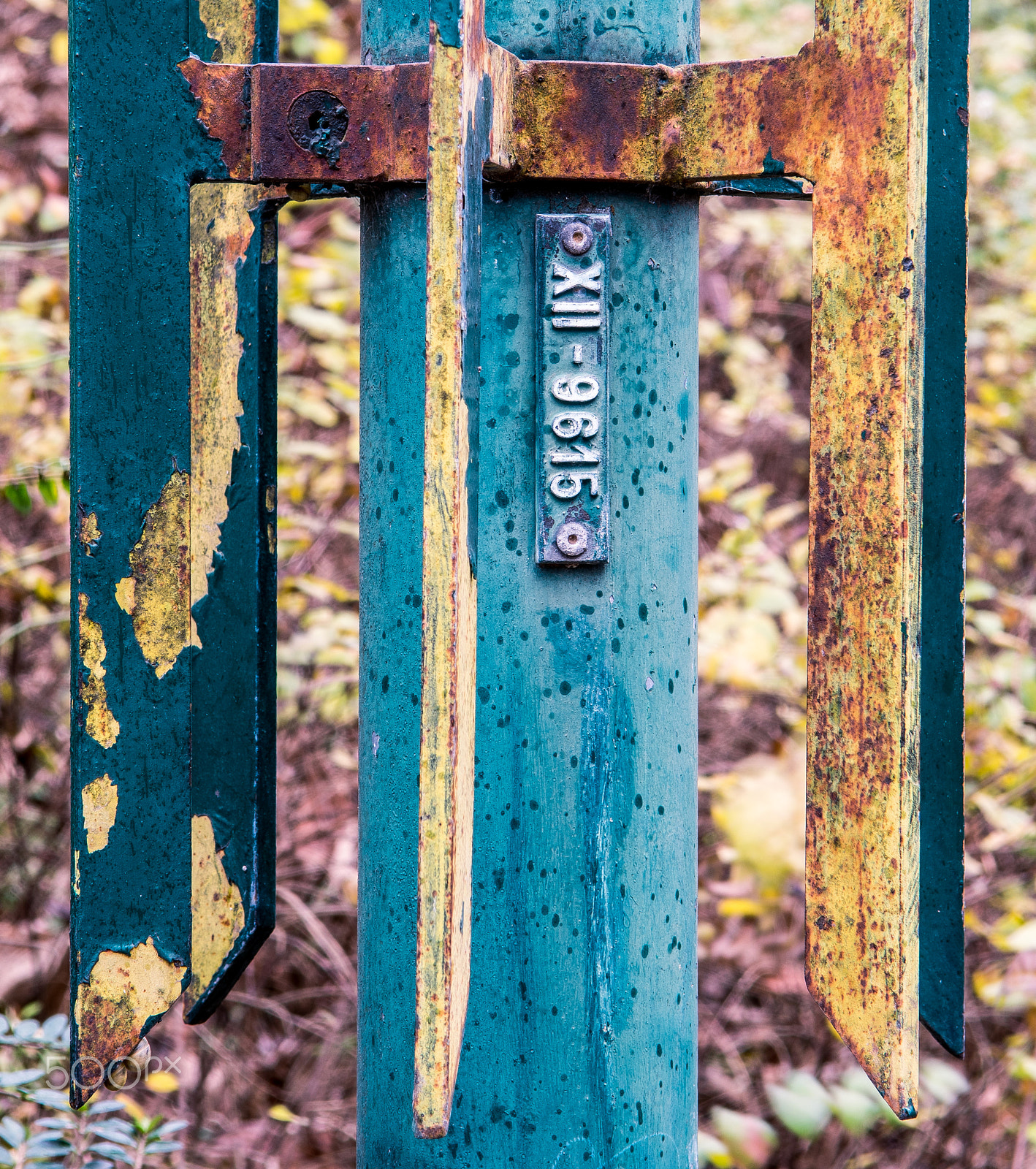 Nikon D500 sample photo. Rusted light post in paris gardens photography