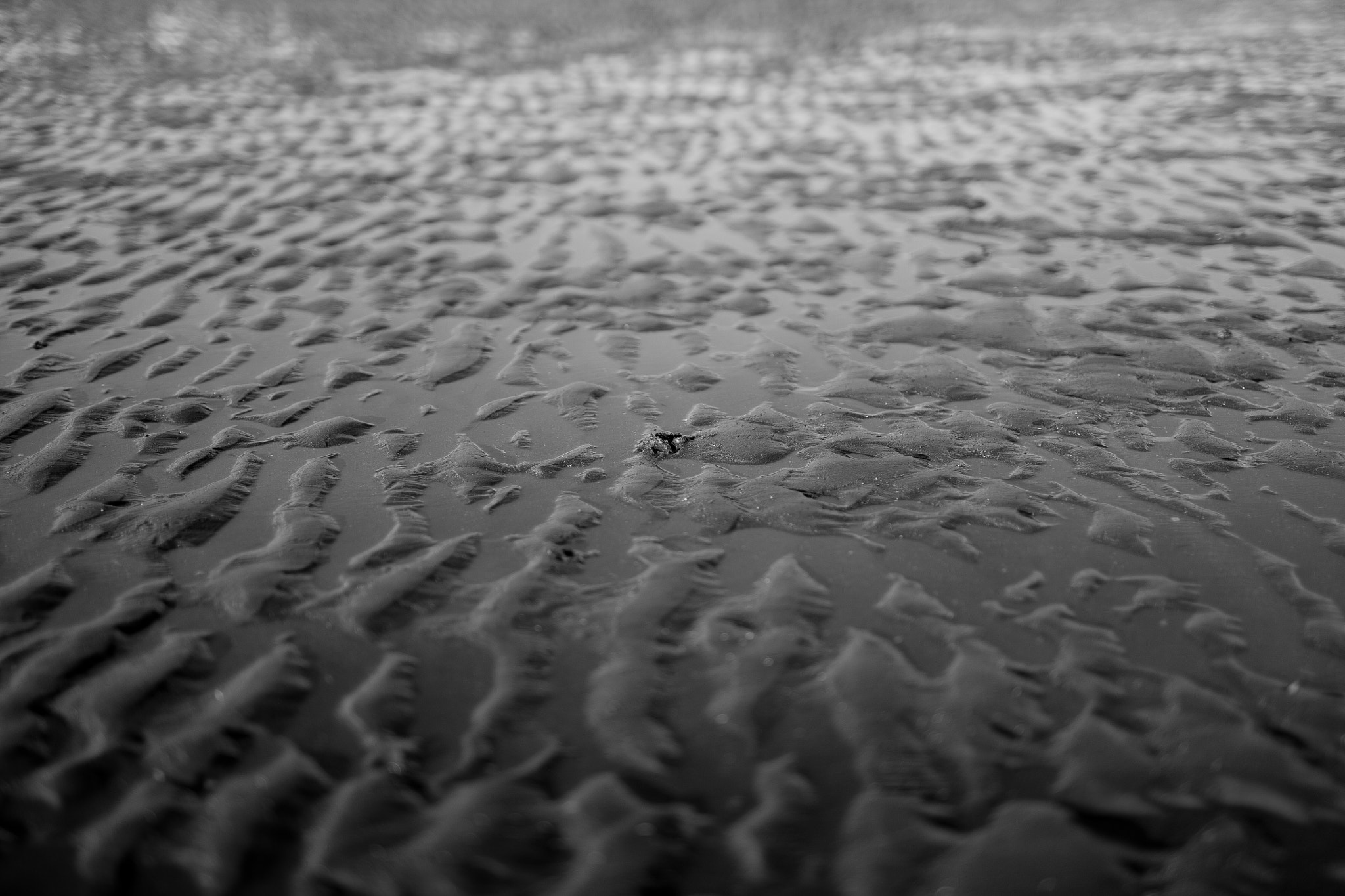 Canon EF 35-80mm f/4-5.6 sample photo. Waveforms in sand photography