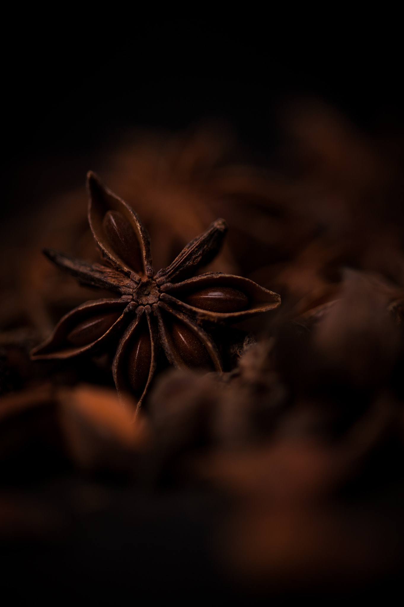 Sigma 105mm F2.8 EX DG OS HSM sample photo. Badiane photography