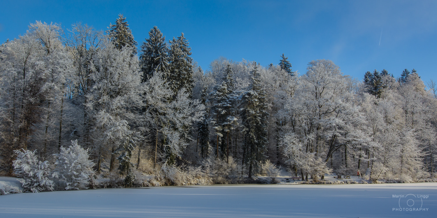 Nikon AF-S Nikkor 14-24mm F2.8G ED sample photo. Sunny side of life photography
