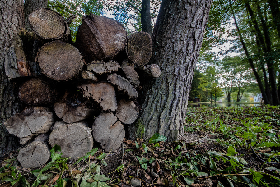 Sigma 12-24mm F4.5-5.6 II DG HSM sample photo. Wood trunks and water photography