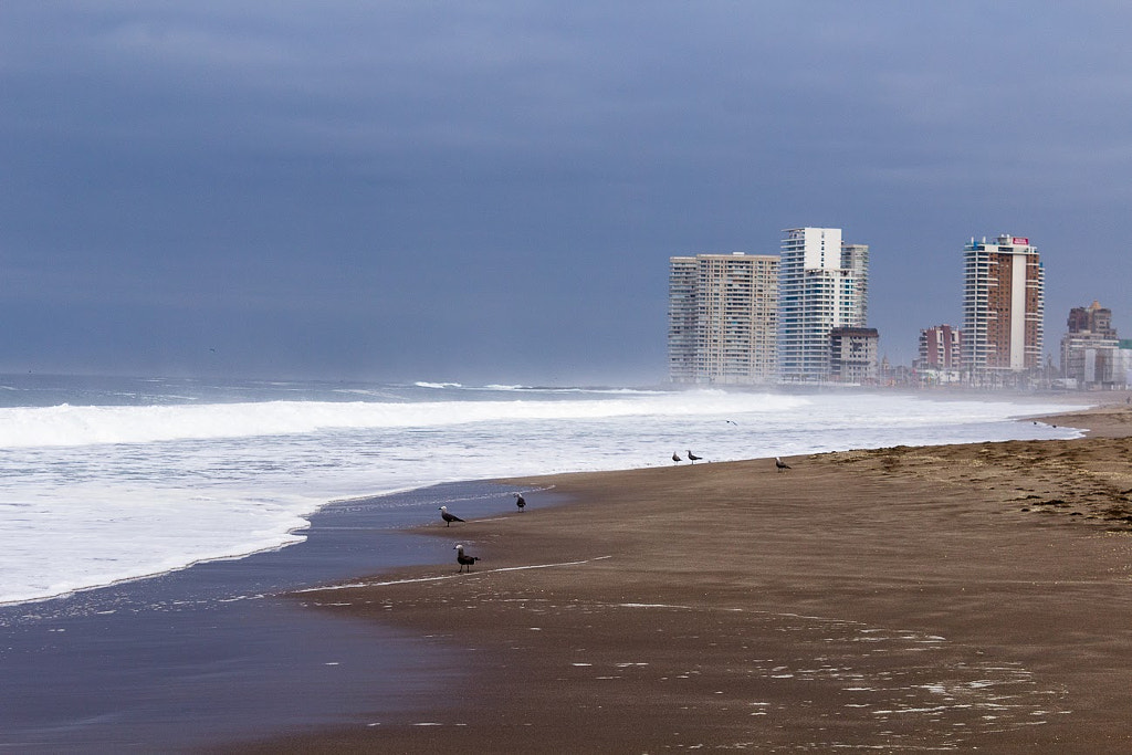 Playa Brava Iquique by Luis Cubillos on 500px.com