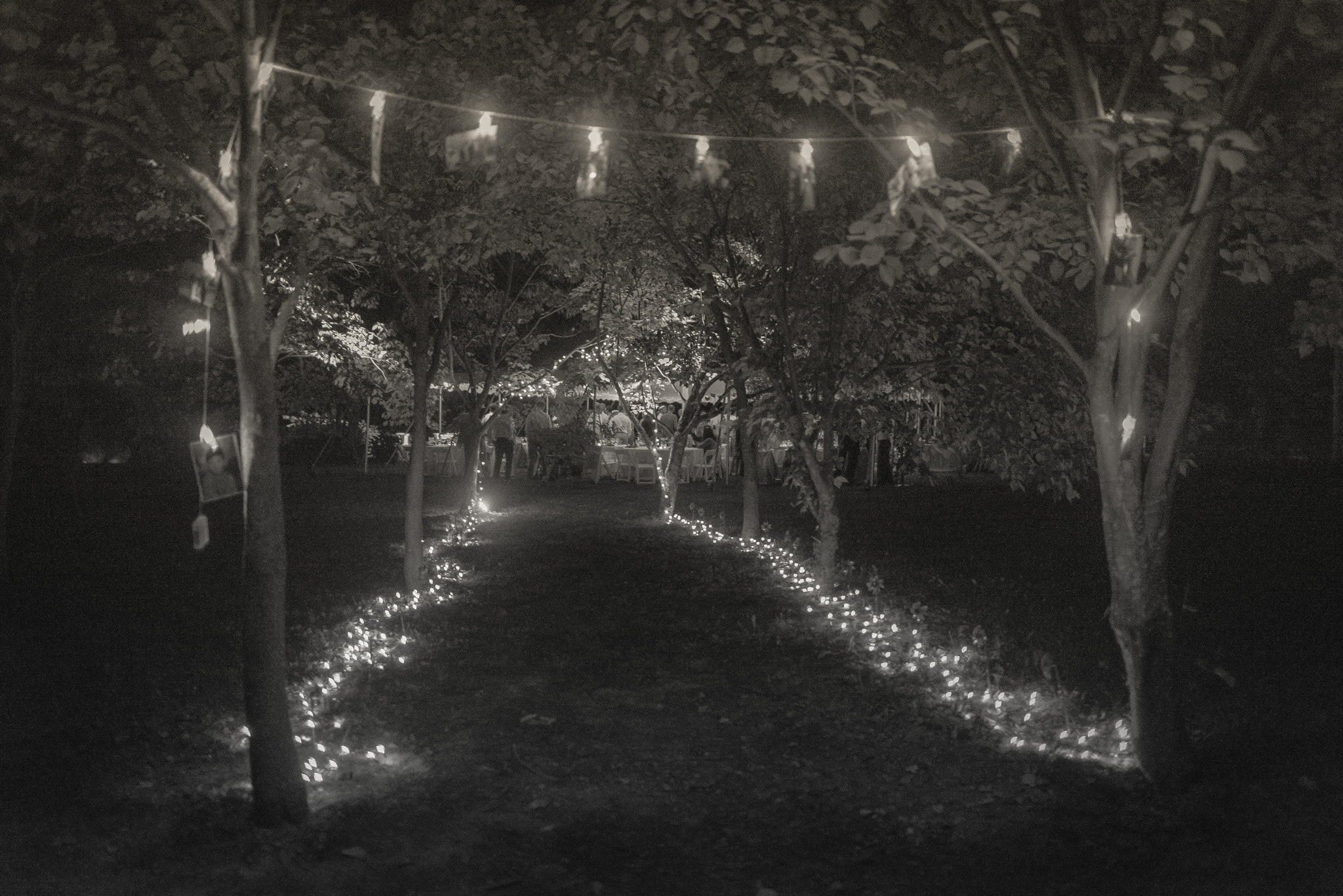 Nikon D800E + Nikon AF-S Nikkor 24mm F1.4G ED sample photo. Weddings by john jack photography photography