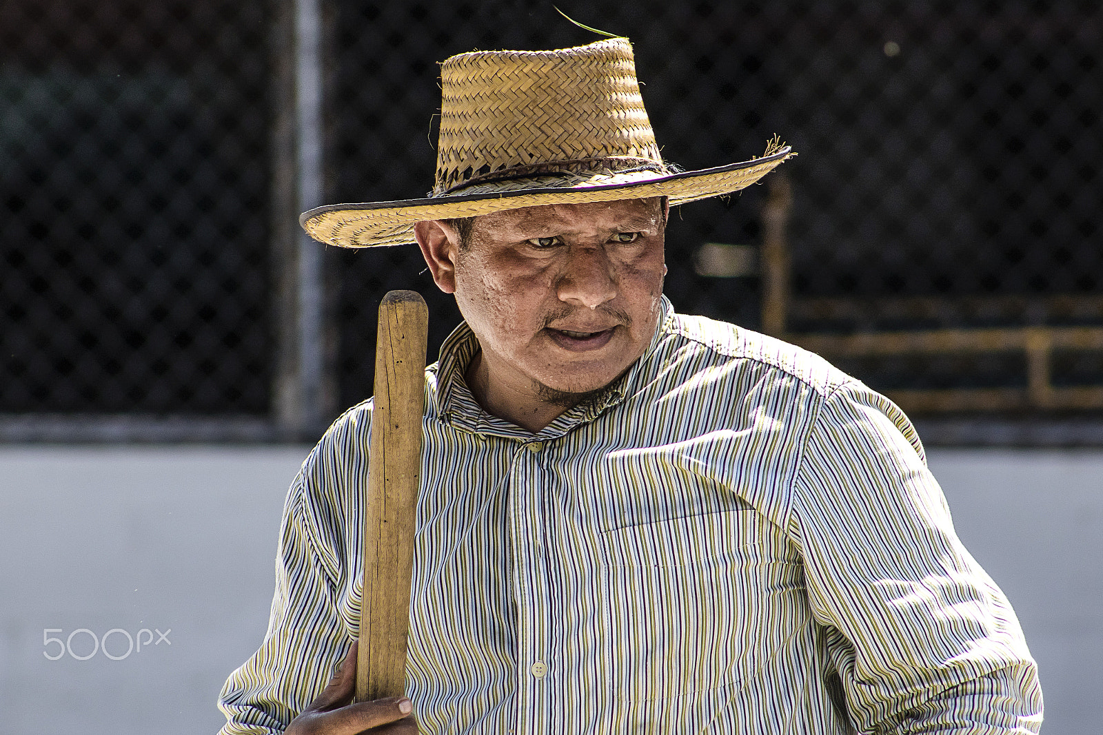Canon EF 75-300mm f/4-5.6 USM sample photo. Rostros argovia photography