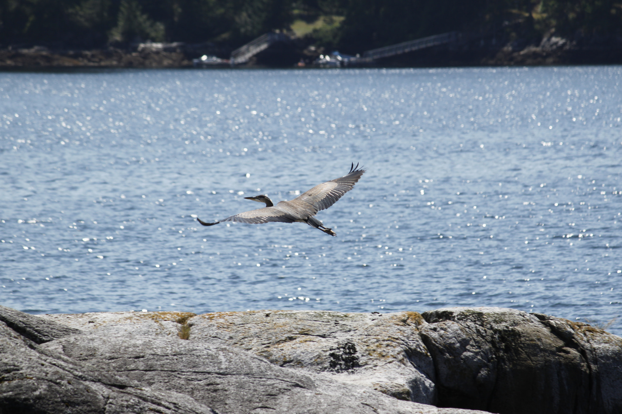 Canon EF-S 55-250mm F4-5.6 IS sample photo. Qb_gbh photography